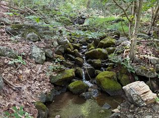 Lodge Trl, Vesuvius, VA 24483