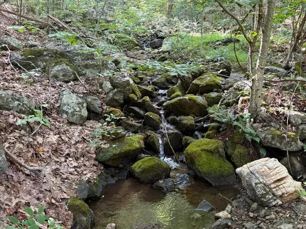 Lodge Trl, Vesuvius, VA 24483