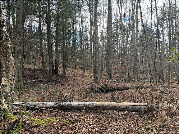 4th image of Barnes Hill Rd Lot 12