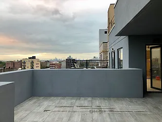 Rented by Urban Sanctuary