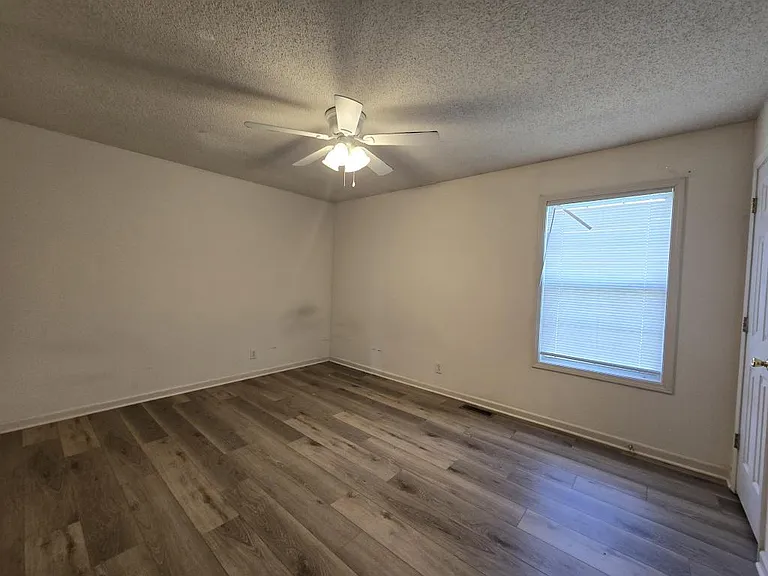 241 Tree Line Dr — Photo 19