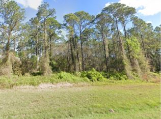 Georgetown Denver Rd LOT 7, Georgetown, FL 32139