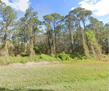 Georgetown Denver Rd Lot 7, Georgetown, FL, 32139
