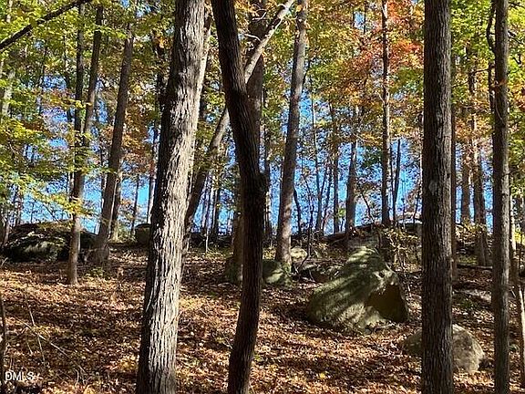 2nd image of 9 Buttonwood Ln #9