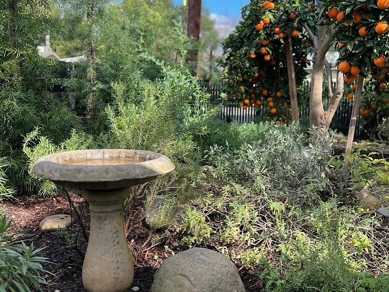 511 Drown Ave — Photo 31