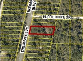 8146 Treiman Blvd, Webster, FL 33597