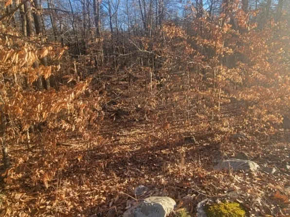 291 New Rd, Montague Twp., NJ 07827