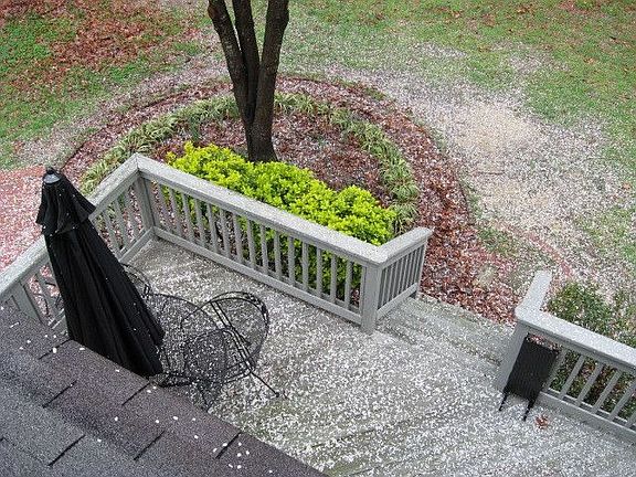 Back Deck