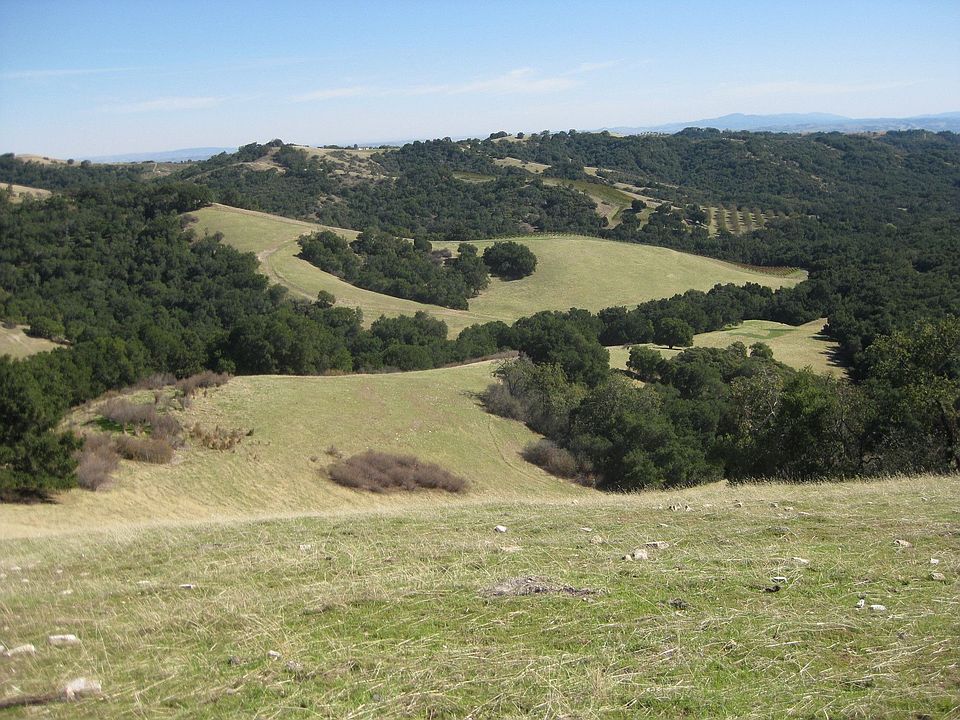 Looking into Bear valley from the building site @ 2000" el.