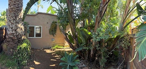 3232 Central Ave Back Yard _11072025