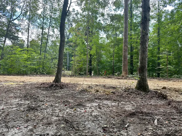 3 Highway 70 S, Rogersville, TN 37857