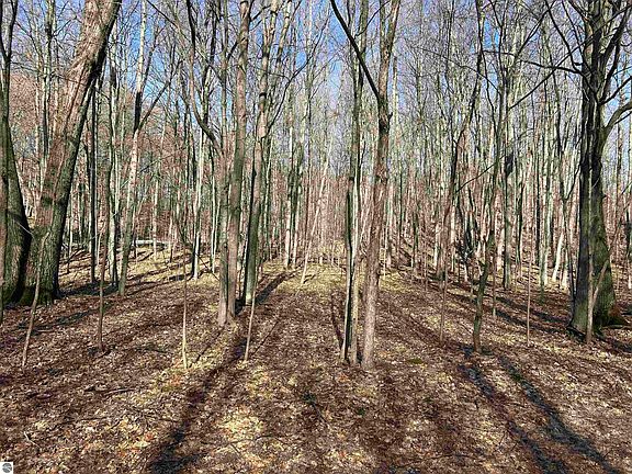 4th image of LOT 11 Heideldorf Dr