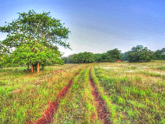 3rd image of 1873 Conservancy Trce