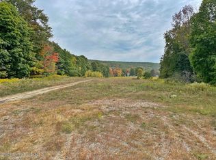 Chapman Lake Rd, Jermyn, PA 18433