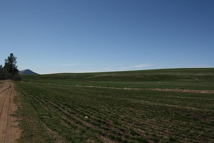 2nd image of 160 Acres Four Corners Rd