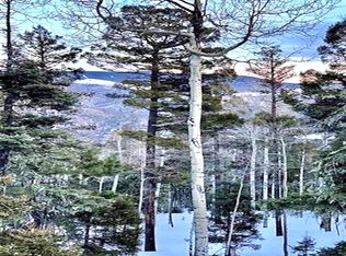 75 Via De Maria, Angel Fire, NM 87710