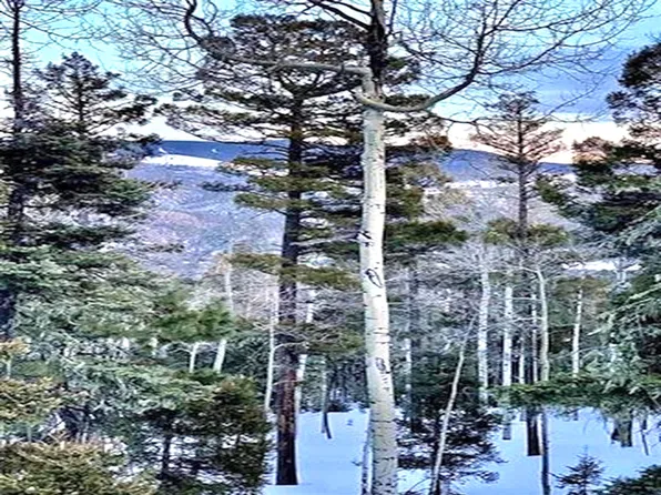 75 Via De Maria, Angel Fire, NM 87710