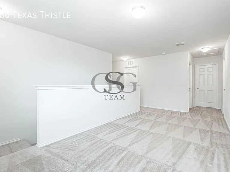 186 Texas Thistle — Photo 9