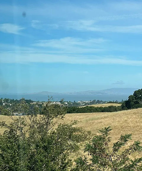 Violet Rd — Photo 24