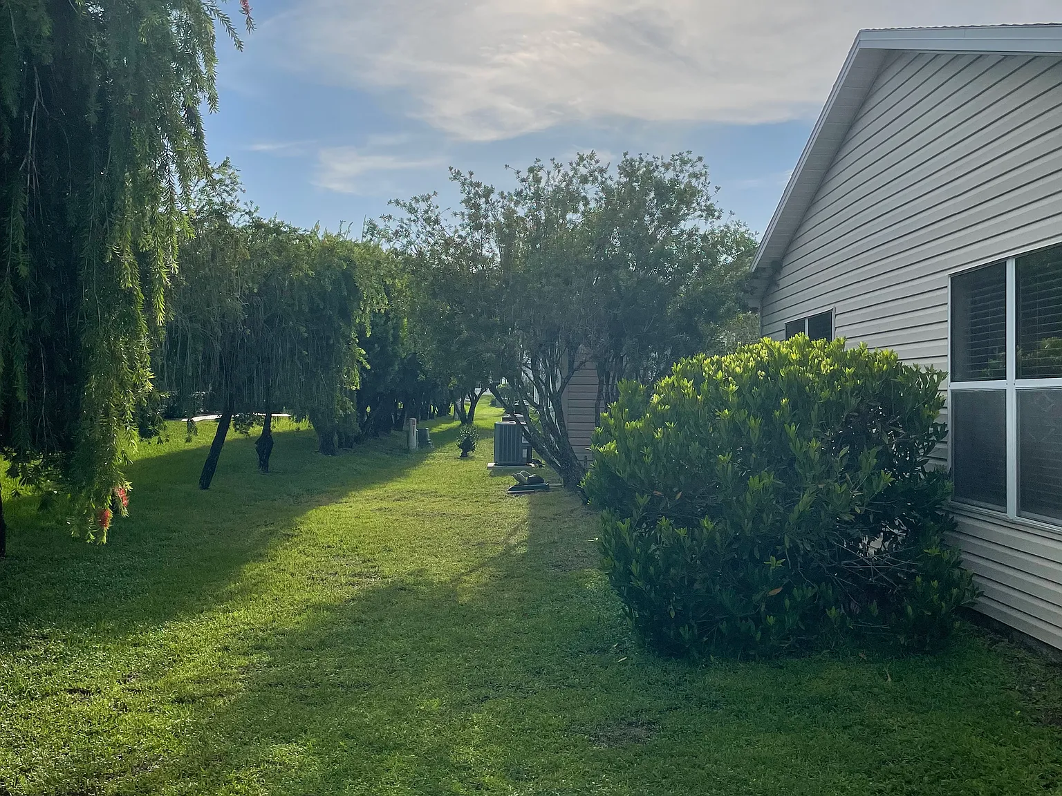 1 bed, 991 sqft, $1,900 — Photo 3