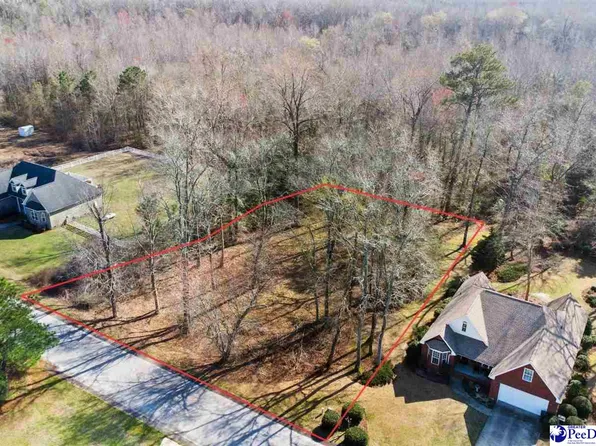 23 Crickintree Ln, Darlington, SC 29532