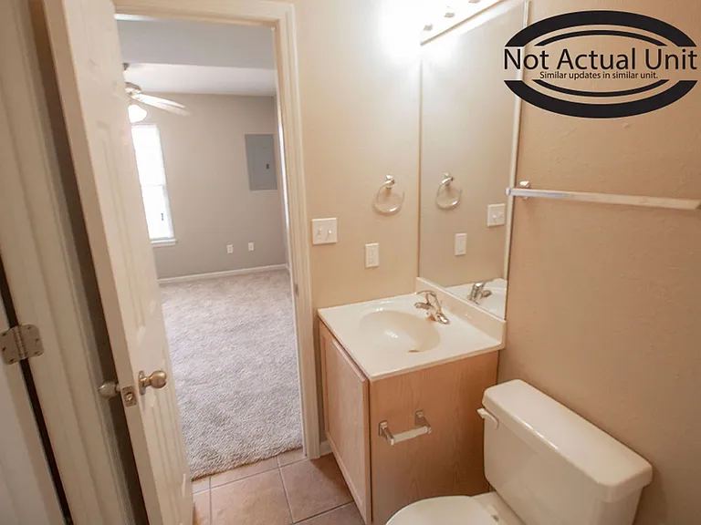 3914 Snowy Owl Dr — Photo 15