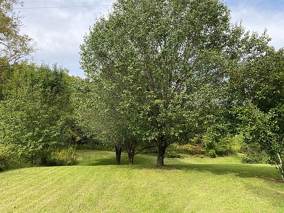 3rd image of 349 Simmons Hill Ln