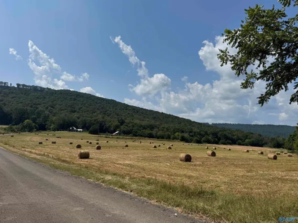 356 County Road 526, Woodville, AL 35776