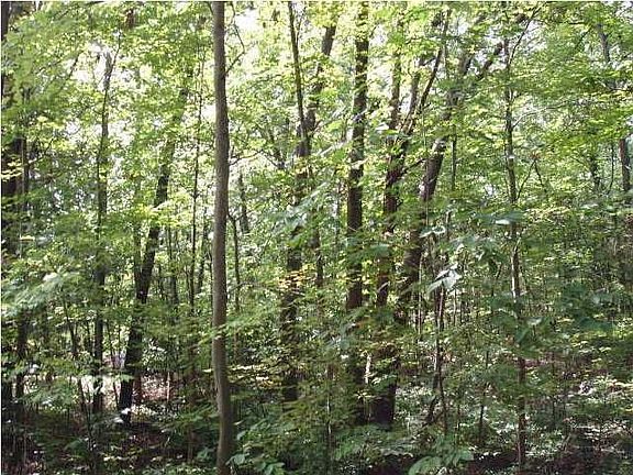 Located in the Forest Hill School System