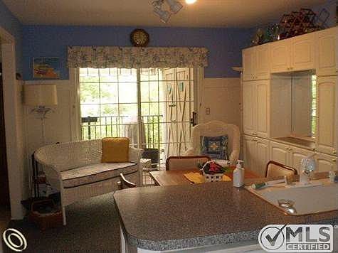 View from Kitchen.JPG