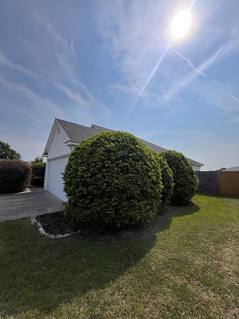 Branch Point S/D home — Photo 3
