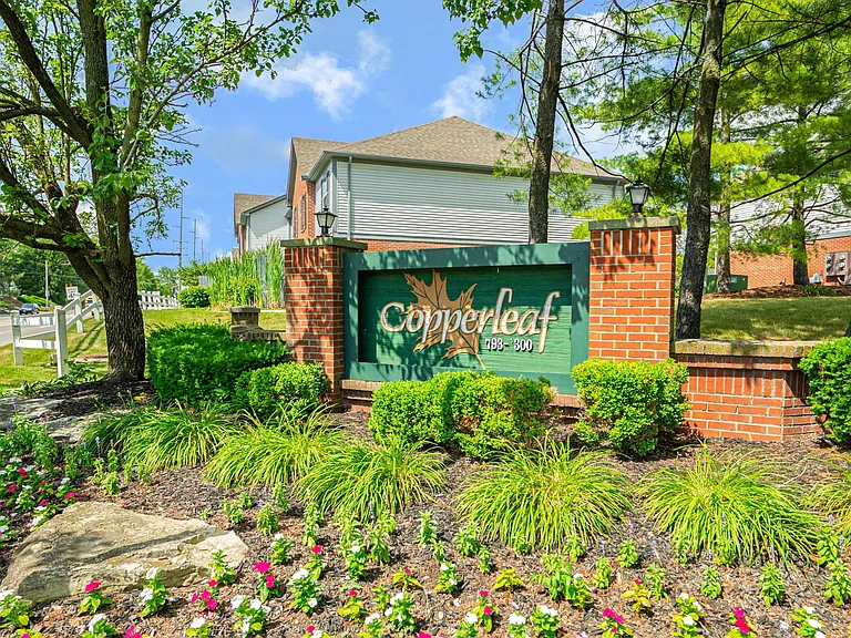 Copperleaf — Photo 27