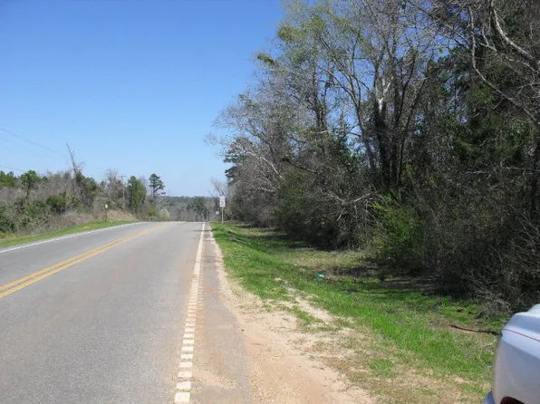 21 Highway N, Pine Apple, AL 36768