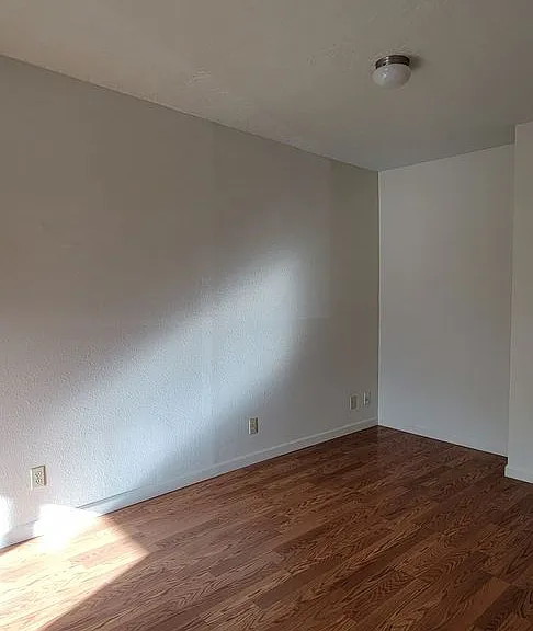 1217 Goucher St — Photo 15