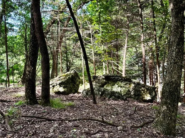LOT 39 Pine Dr, Garfield, AR 72732