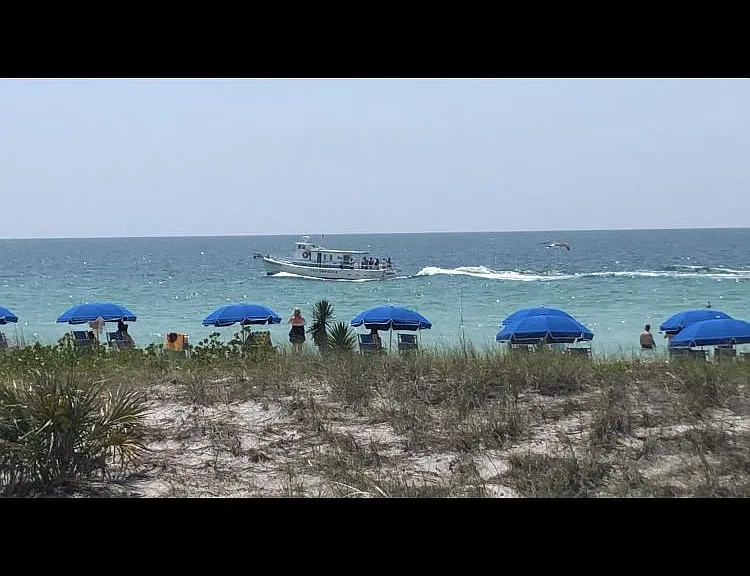 Tradewinds Dr — Photo 36