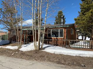 48 Magnum Bonum Dr, Breckenridge, CO 80424