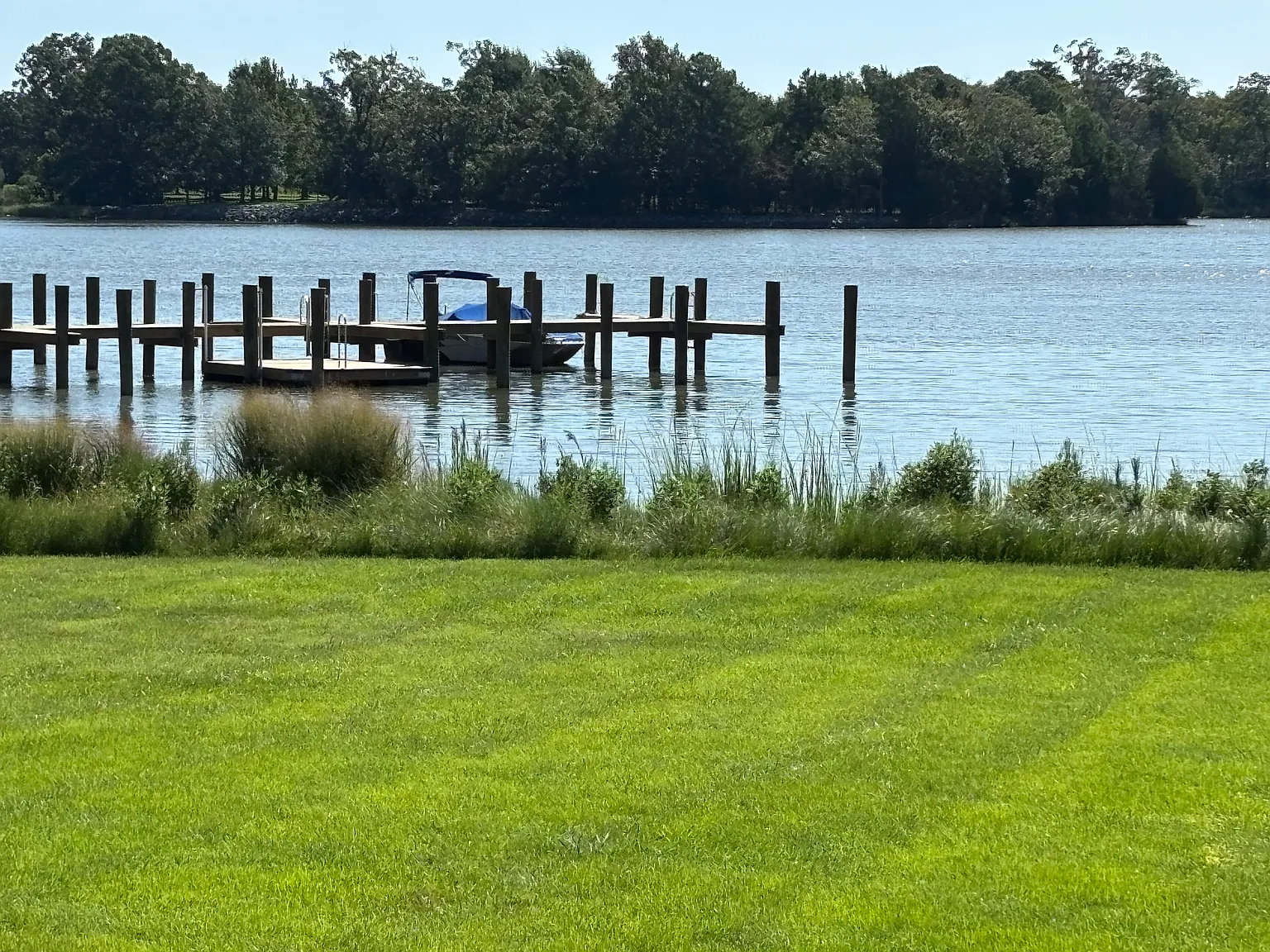 2 bed, 1540 sqft, $2,650 — Photo 4