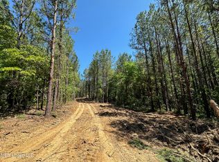 3 Henry Cannon Rd, Braxton, MS 39044