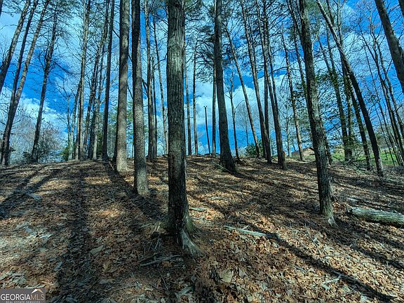 5th image of LOT 30 31 Eagle Ridge Rd