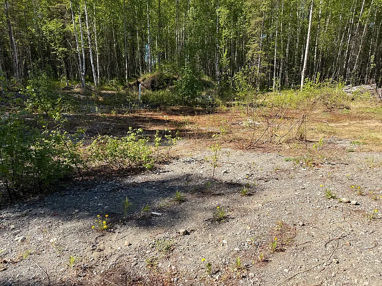 20452 W Susitna Pkwy — Photo 10
