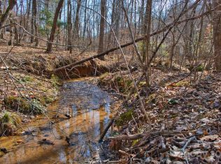 0 Woodstock Ln #170, Rutherfordton, NC 28139