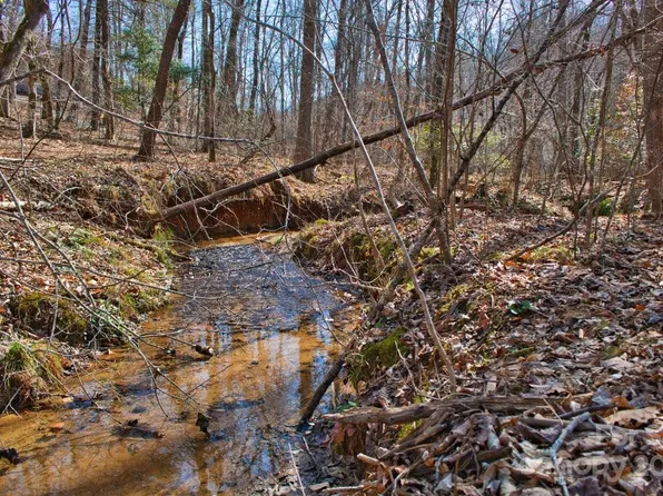 0 Woodstock Ln #170, Rutherfordton, NC 28139