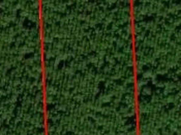 172683 Andrews Rd, Hilliard, FL 32046