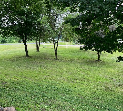 Side Yard