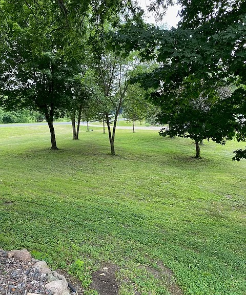 Side Yard