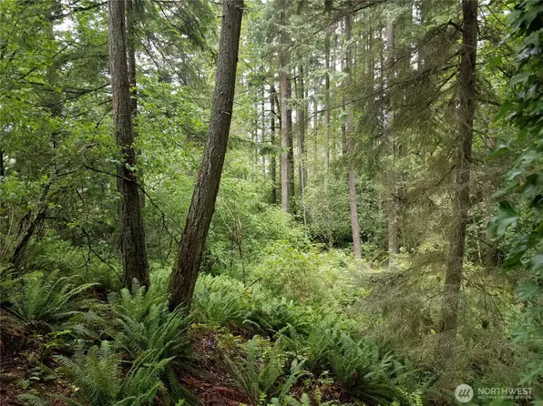 1500 XX E Lake Sammamish Parkway SE, Sammamish, WA 98075