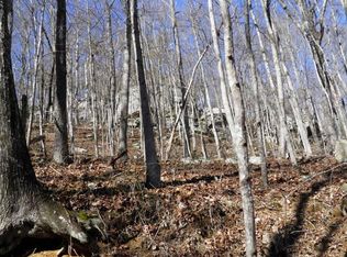 258 Cathedral Canyon Dr, Coalmont, TN 37313