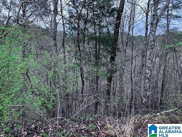 2nd image of 8450 Cross Creek Way #1