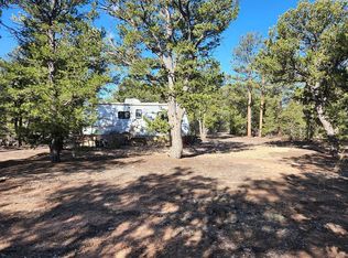 1762 8th Trl #42, Cotopaxi, CO 81223